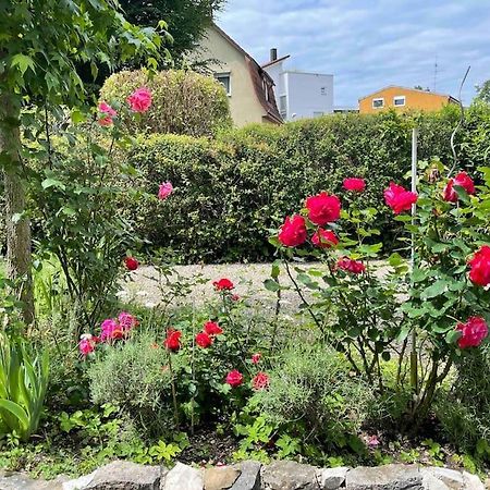 Fewo Apartment Lake Of Constance ฟรีดริชส์ฮาเฟน ภายนอก รูปภาพ