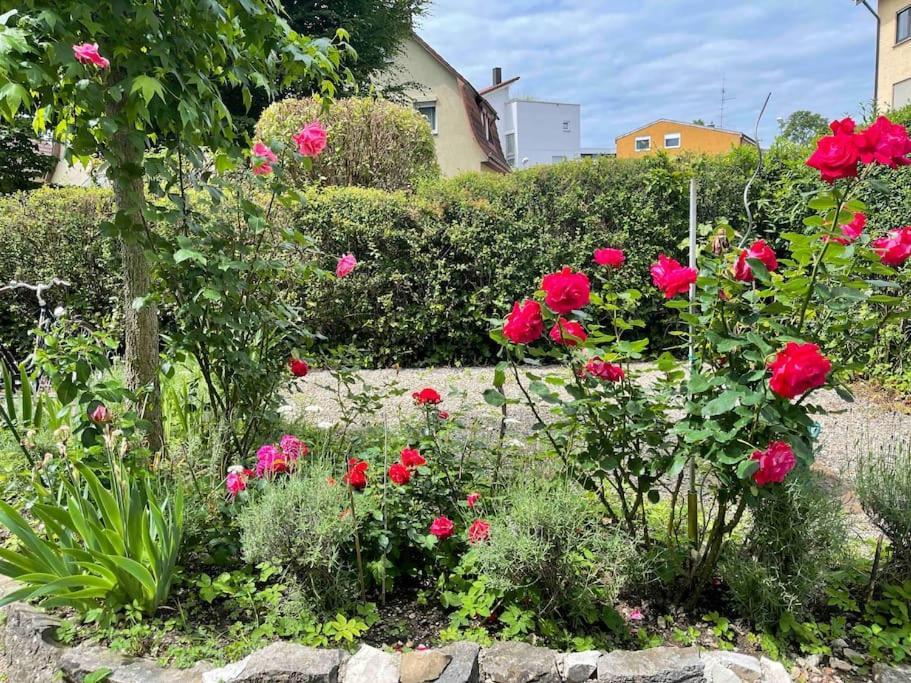 Fewo Apartment Lake Of Constance ฟรีดริชส์ฮาเฟน ภายนอก รูปภาพ